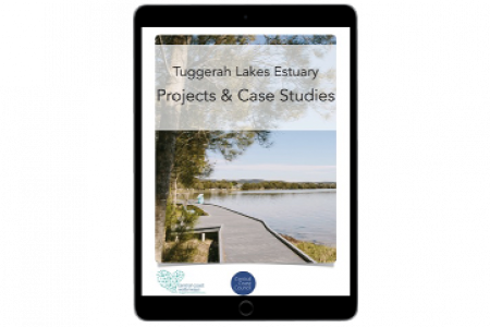 Tuggerah Lakes Estuary Projects & Case Studies