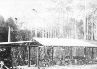 historic shot of logging shed
